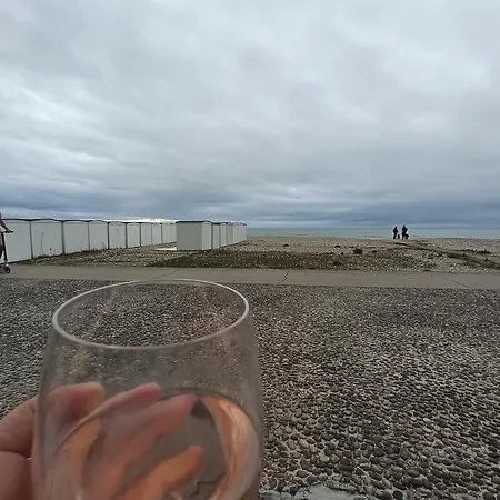 La Terrasse De Notre Dame * Le Havre