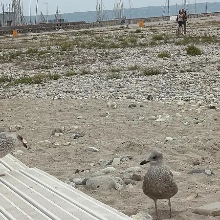 Apartamento La Terrasse De Notre Dame El Havre