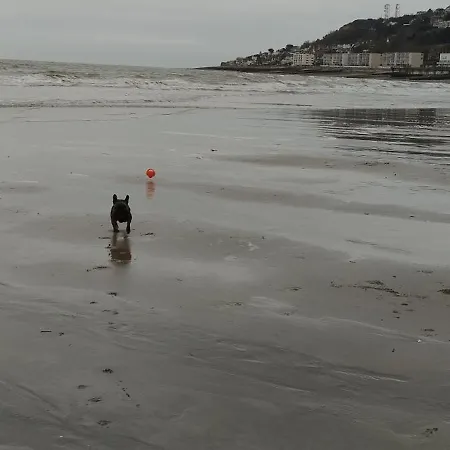 La Terrasse De Notre Dame El Havre