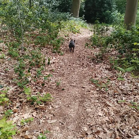 La Terrasse De Notre Dame 公寓 *