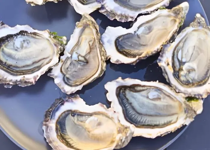 La Terrasse De Notre Dame