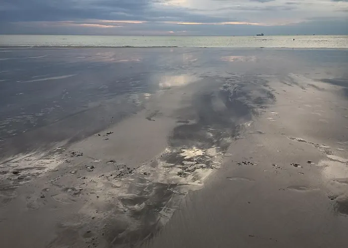 شقة La Terrasse De Notre Dame *